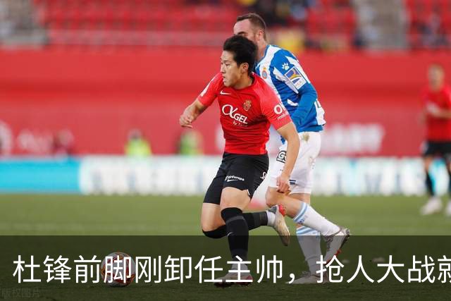杜锋前脚刚卸任主帅，抢人大战就开始了，广东锁定米切尔，北控与新疆同时也在争抢